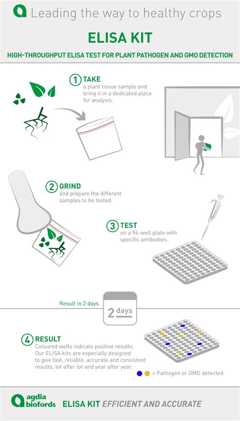 elisa test used for diagnosis of which disease|elisa test positive means.